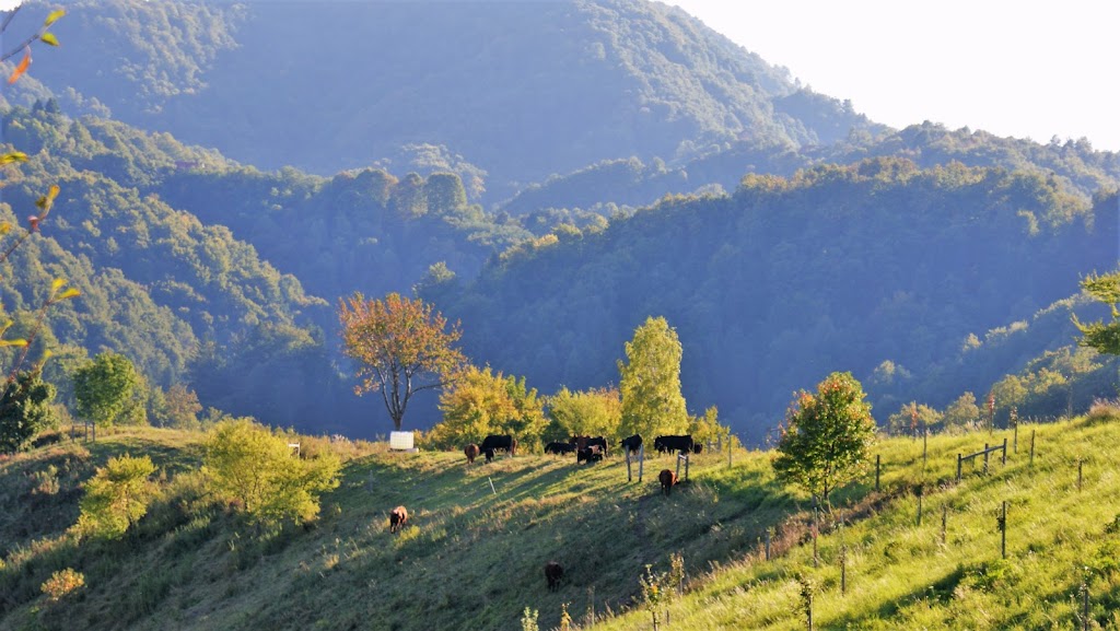 naravni-park-haloze-cerinovo